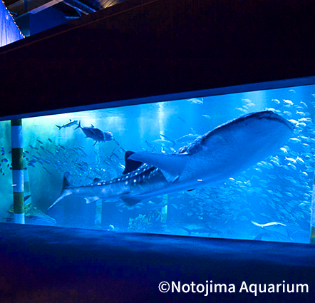 Notojima Aquarium