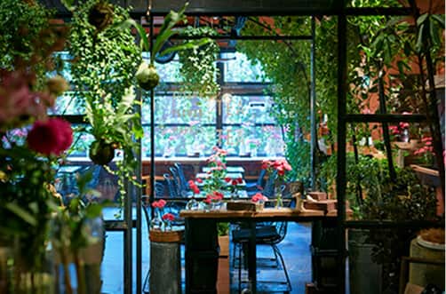 Where flower meets food: Japan's Instagram-worthy flower cafes