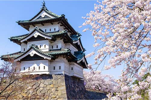 Enjoy Famous Castles and Sakura Spots Simultaneously! Experience Japan's Spring with Cherry Blossom Festivals