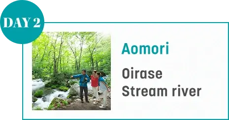 DAY 2 Aomori Oirase Stream river