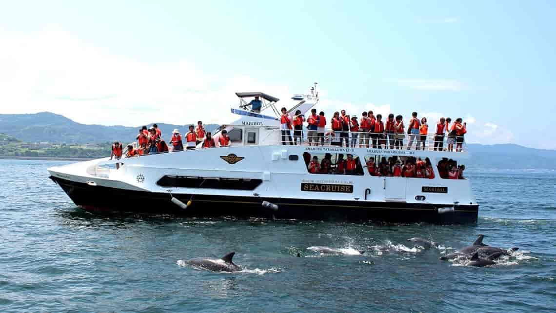 Dolphin Watching Cruise in Amakusa