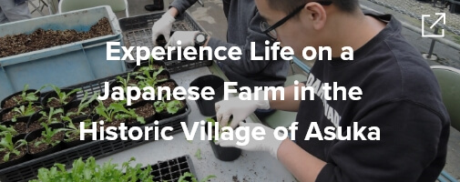 Experience Life on a Japanese Farm in the Historic Village of Asuka