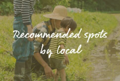 Recommended spots by local