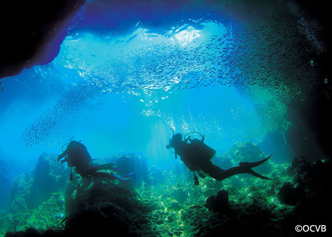 Scuba Diving in Okinawan Japan
