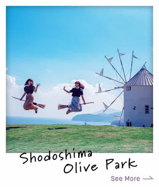 Shodoshima Olive Park